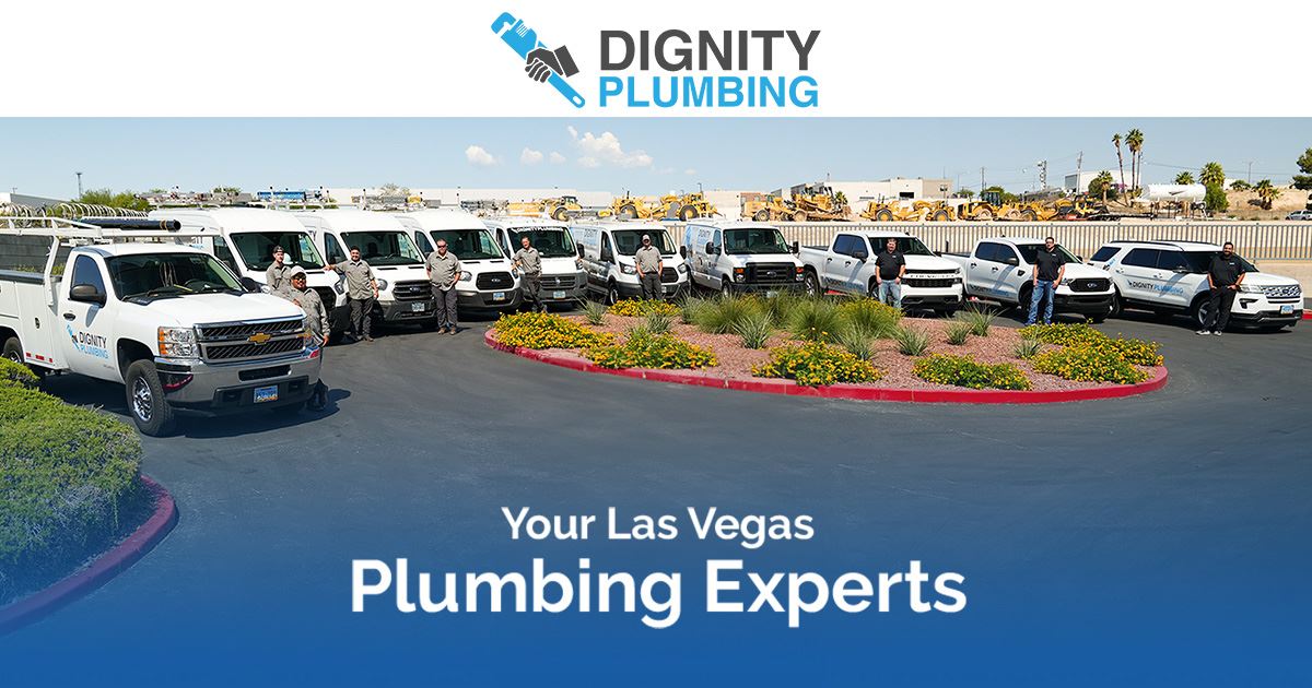 Cost of a Plumber to Snake Drain in Nevada